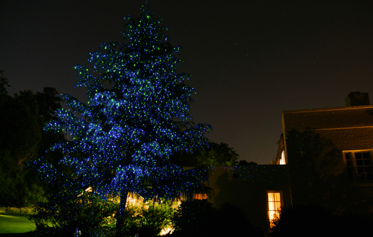 tree with starry green and blue lights in charlotte