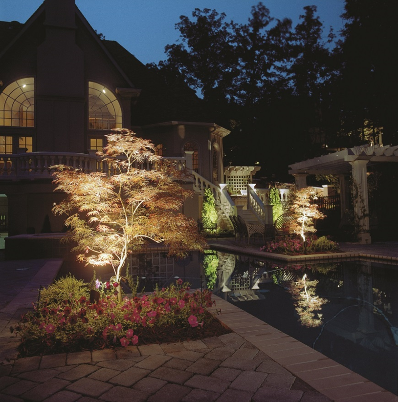 pool and plants shown with outdoor lighting