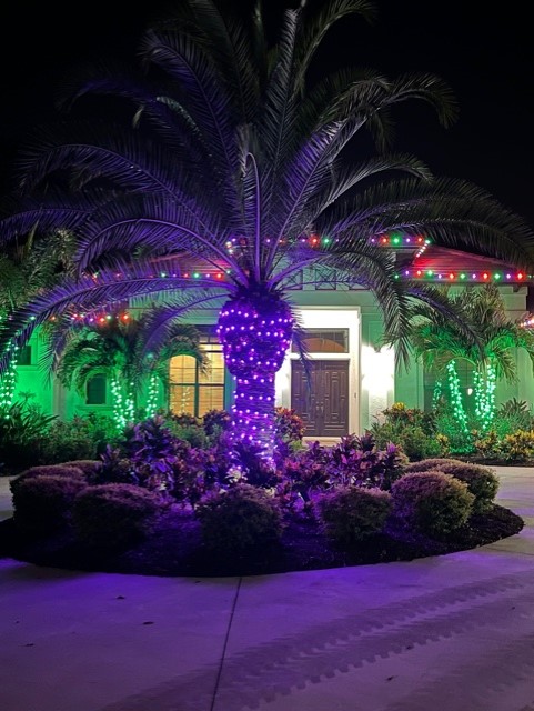 purple lights on a palm tree
