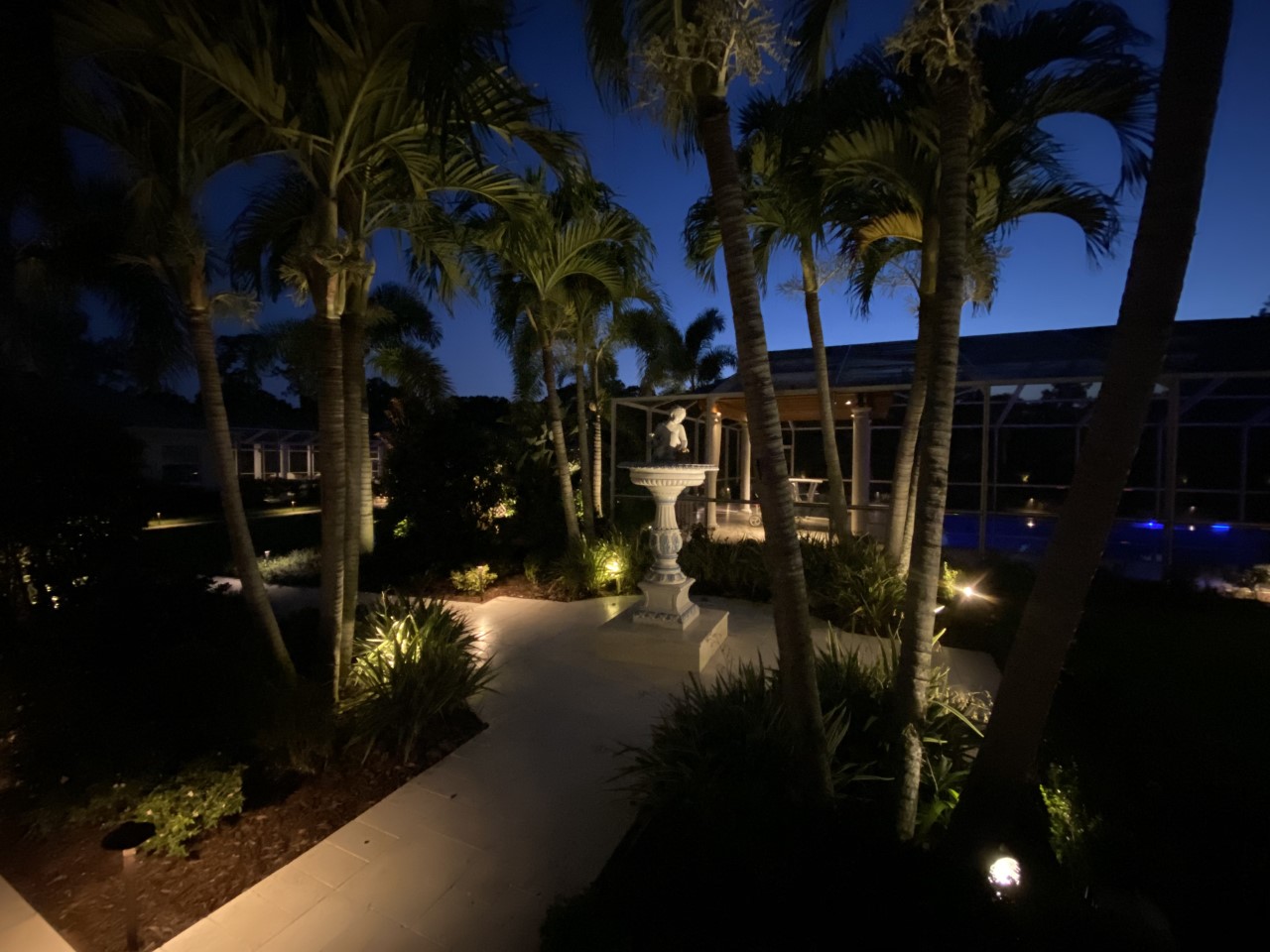 pathway lighting with palmtrees 