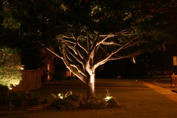 Accentuate Your Trees Landscape And Water Feature With Memphis Outdoor Lighting Outdoor Lighting Perspectives
