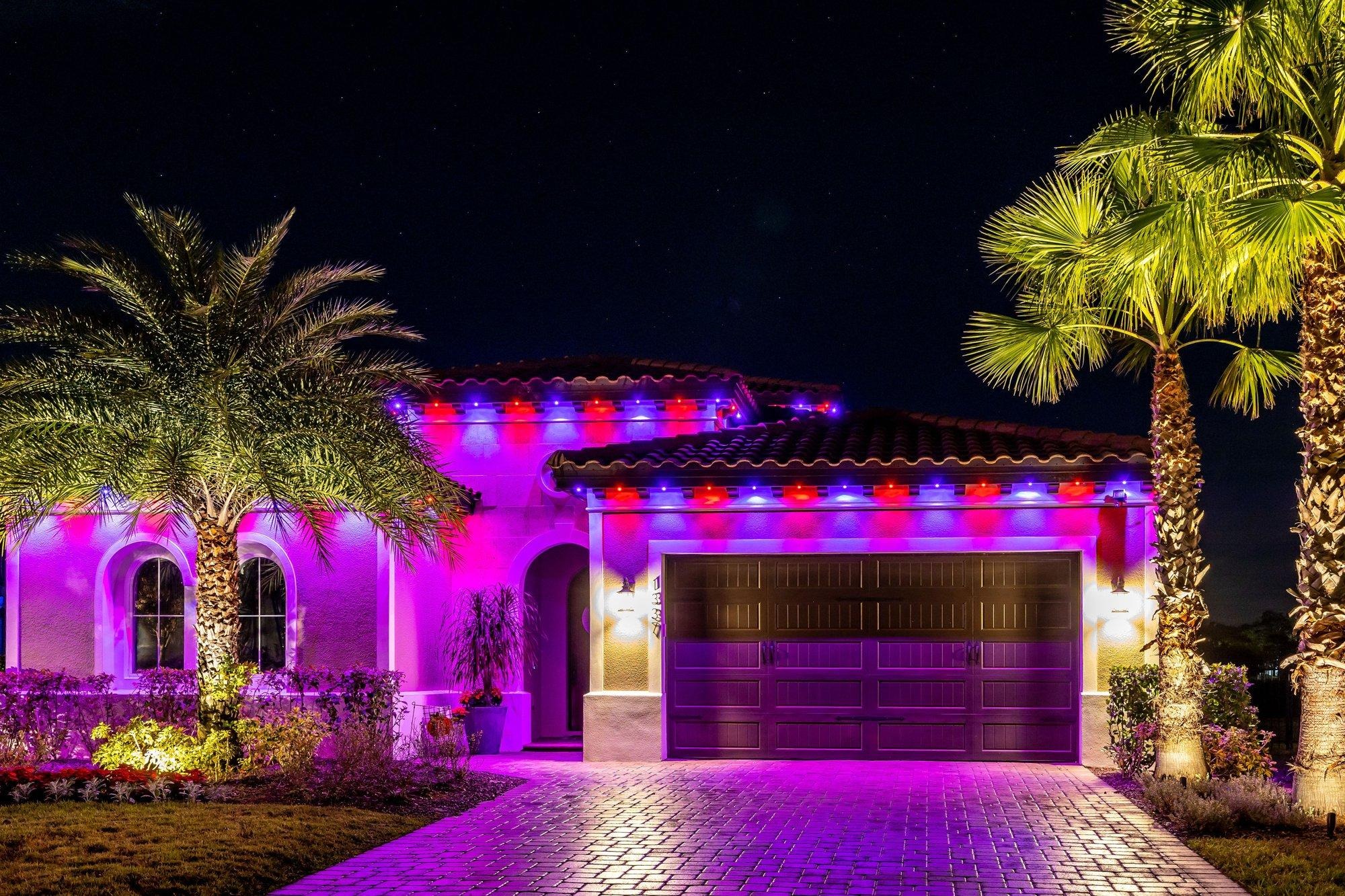Permanent lighting set to vibrant purple and pink, framed by illuminated palms