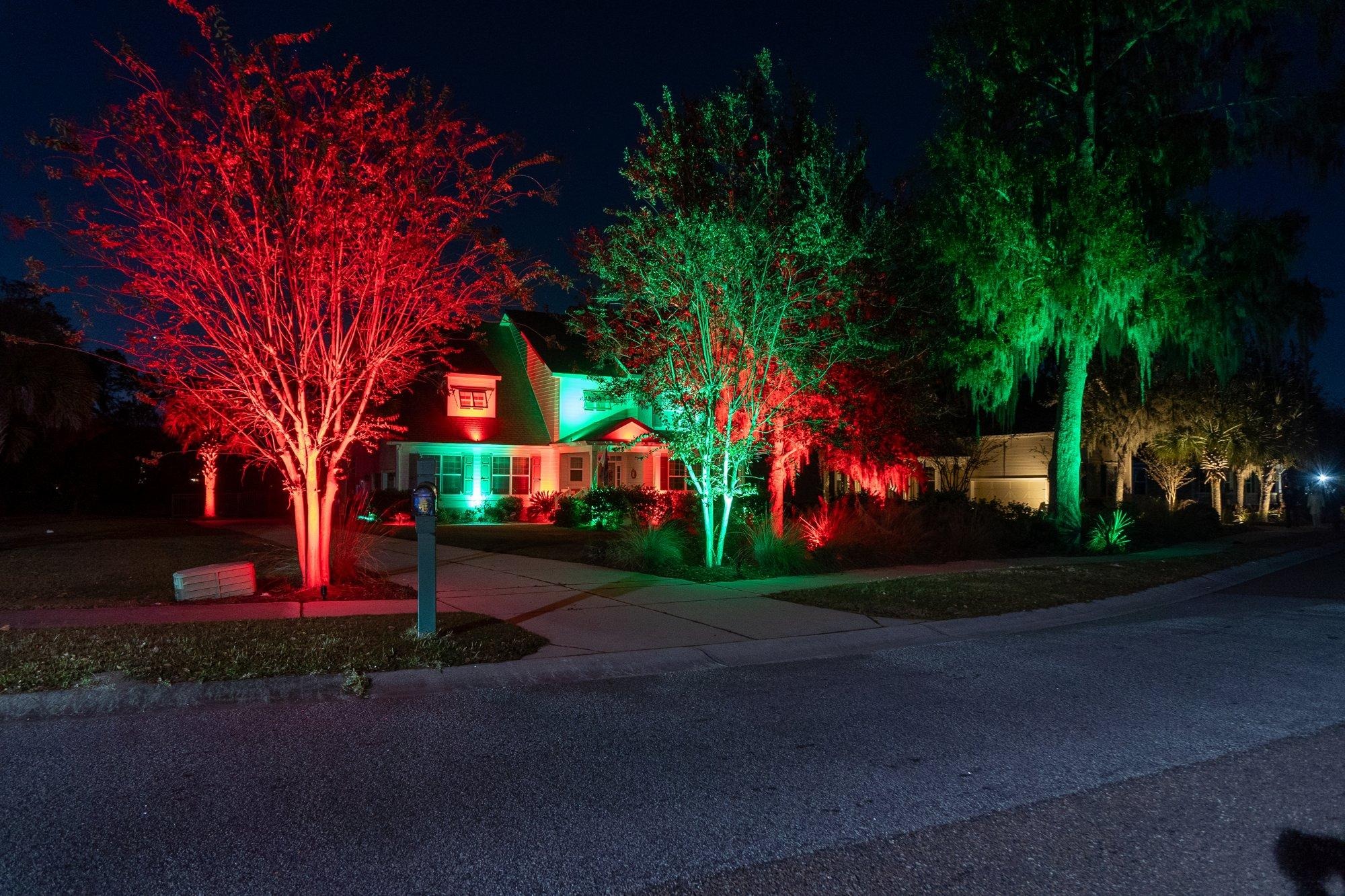 Live oaks and trees up-lit in vivid red and green holiday color in a Charleston neighborhood