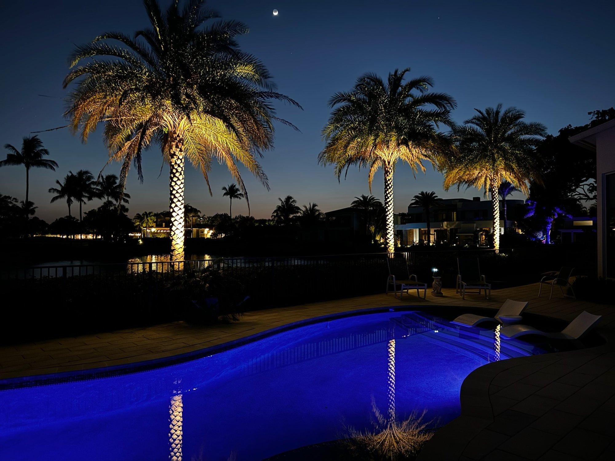 Waterfront West Palm Beach backyard with glowing palms reflected in a softly lit pool