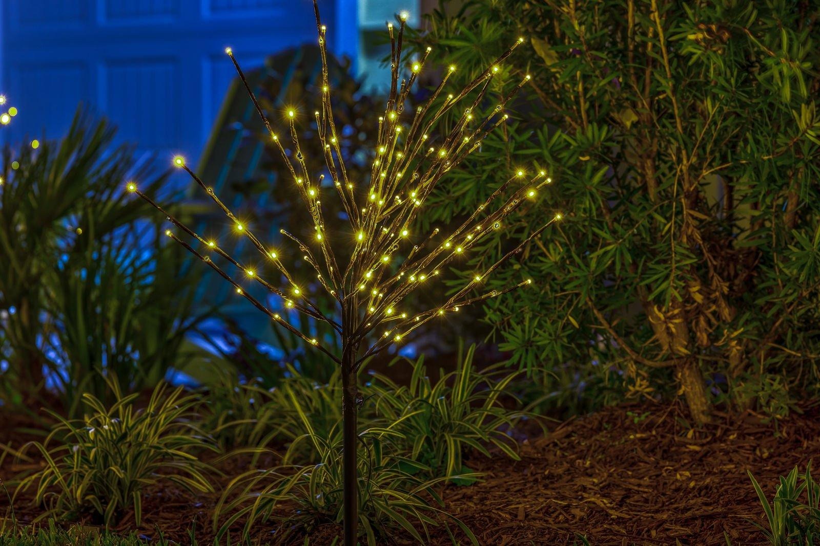 Starburst holiday lights sparkling among tropical landscaping