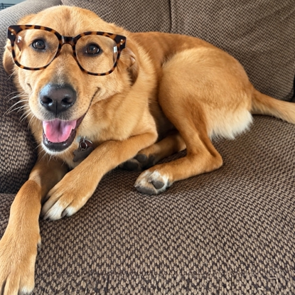 Penny   Photo