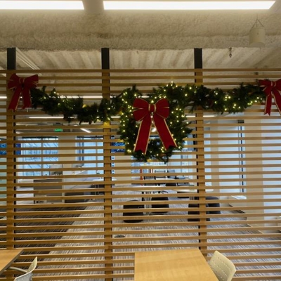 Holiday Lighting Photo