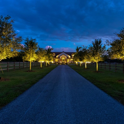 <p>Turn a dark driveway into a stunning first impression for guests with landscape lighting.</p> Photo