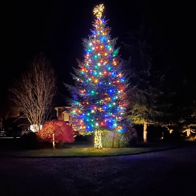 Holiday Lighting Photo