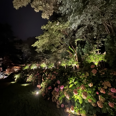 Residential Photo