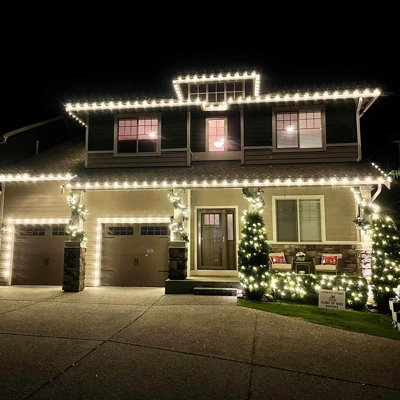Holiday Lighting Photo