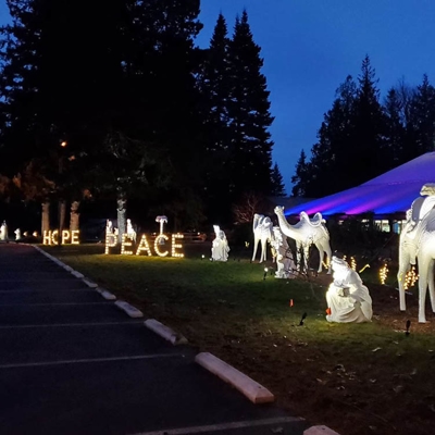 Holiday Lighting Photo
