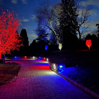 Color Changing Residential Lighting Photo