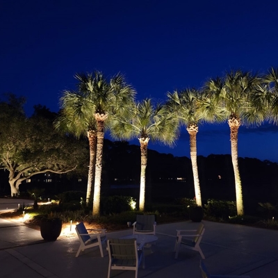 Sea Pines Country Club outdoor lighting on palm trees Photo