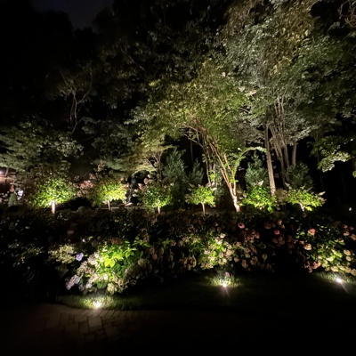 Outdoor Lighting Residential Landscaping Photo