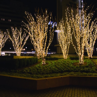 Park island trees Photo