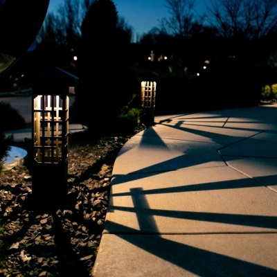   Photo
