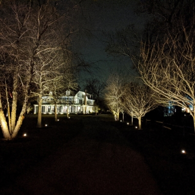   Photo