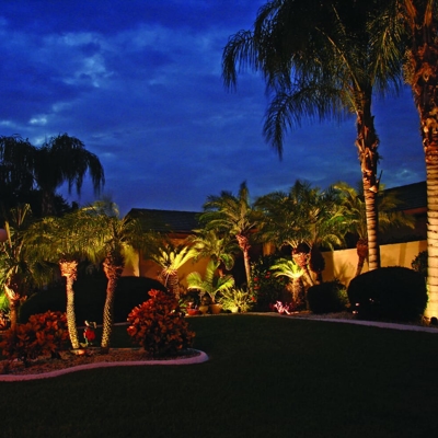 Landscape lighting on your palm trees can add beauty after dark in your Florida home.  Photo