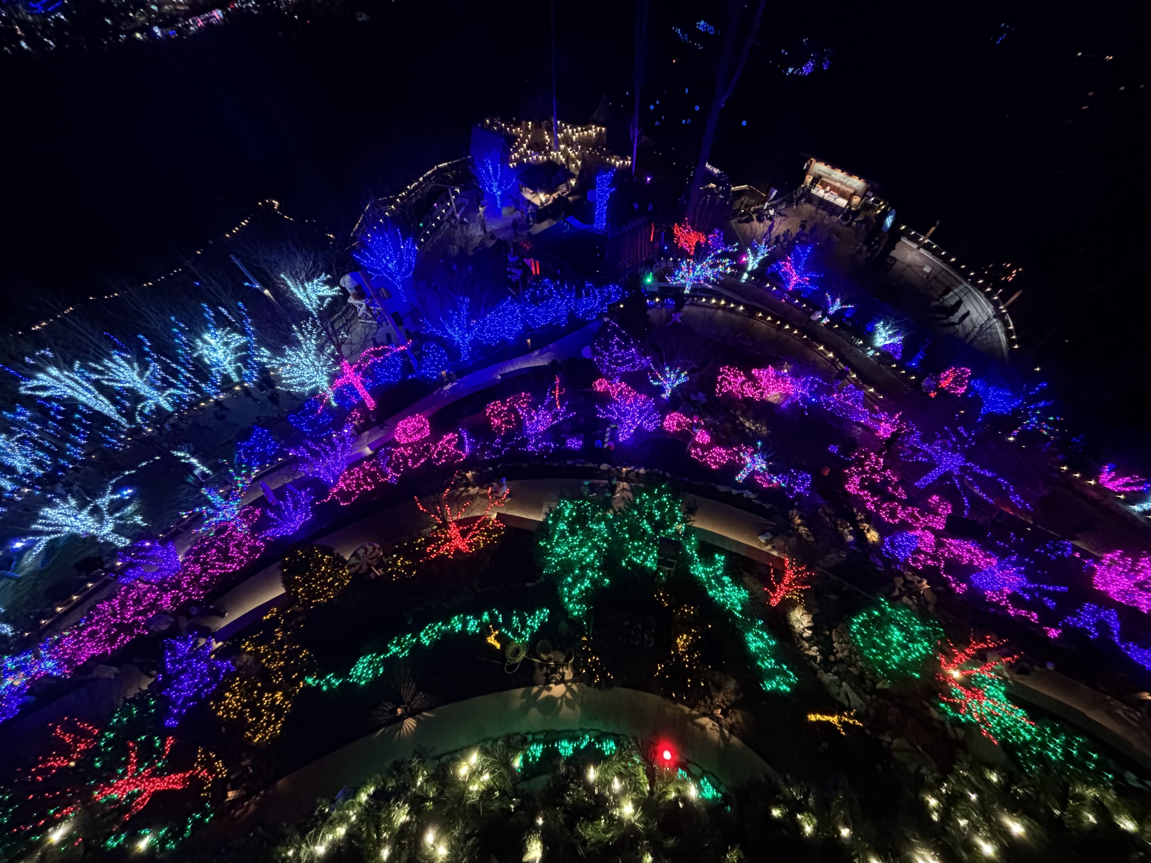 christmas lights in a park ariel view