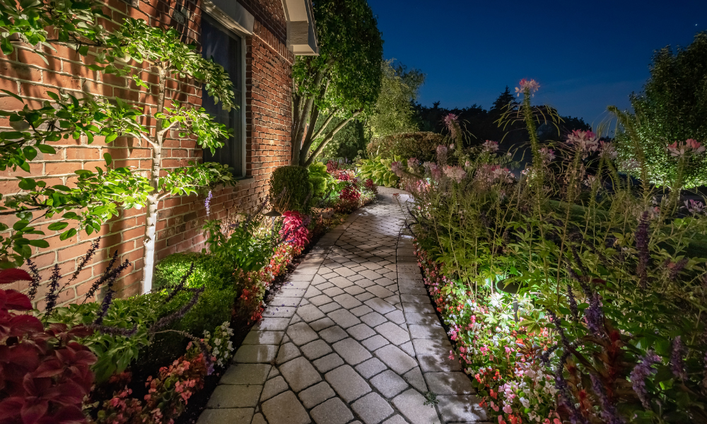 pathway with outdoor lights