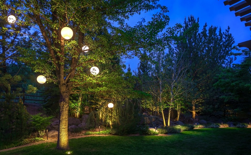 Outdoor sphere lights hanging from trees in a backyard setting