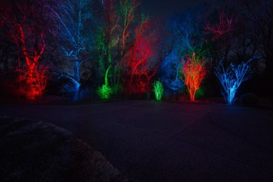 Color saturation outdoor lighting