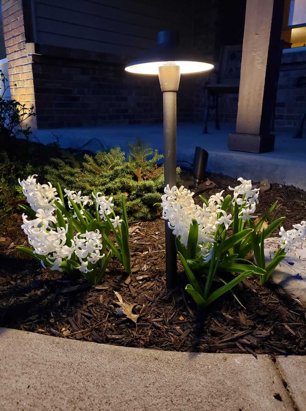 Spring Landscape lighting