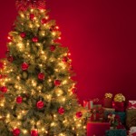 christmas tree with lighting 
