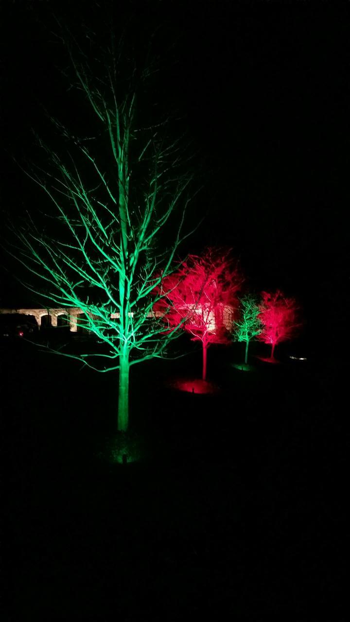 Color changing tree lighting
