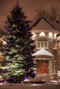 front yard christmas tree 