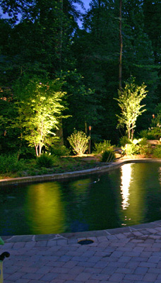 tree uplighting by pool 