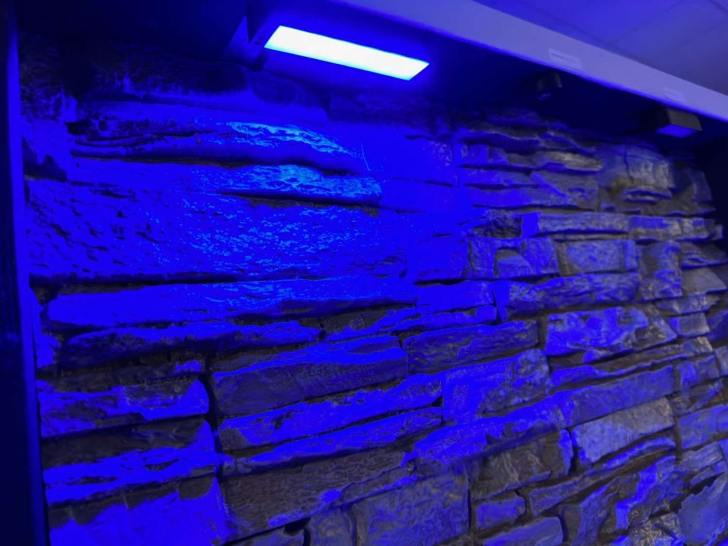 bonsai color changing landscape lighting in Hudson, Ohio