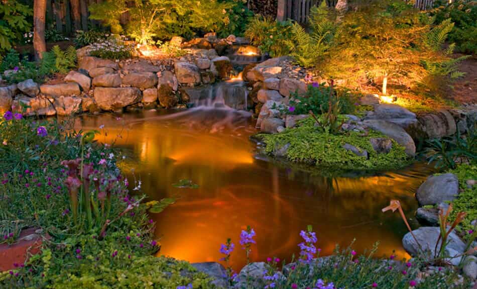 Landscape lighting for a pond in Columbia