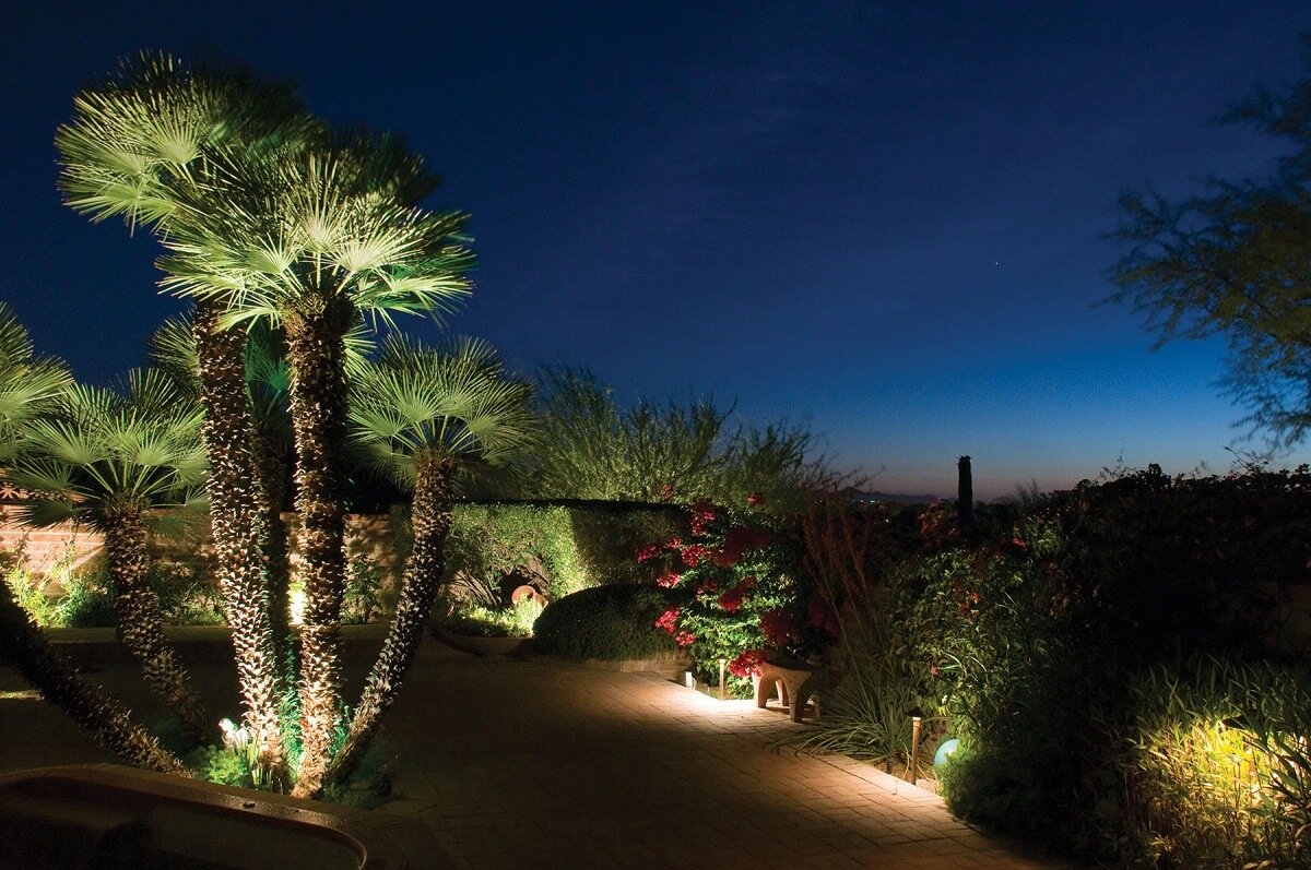 Landscape lighting in a residential yard
