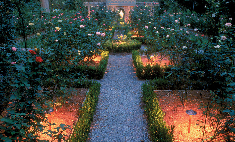 Garden pathway with lighting