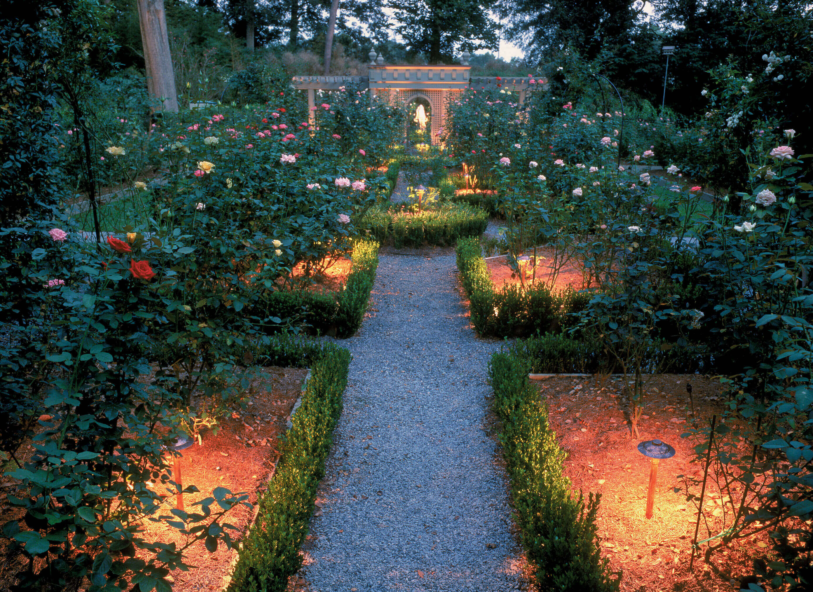 Garden with specialty lighting