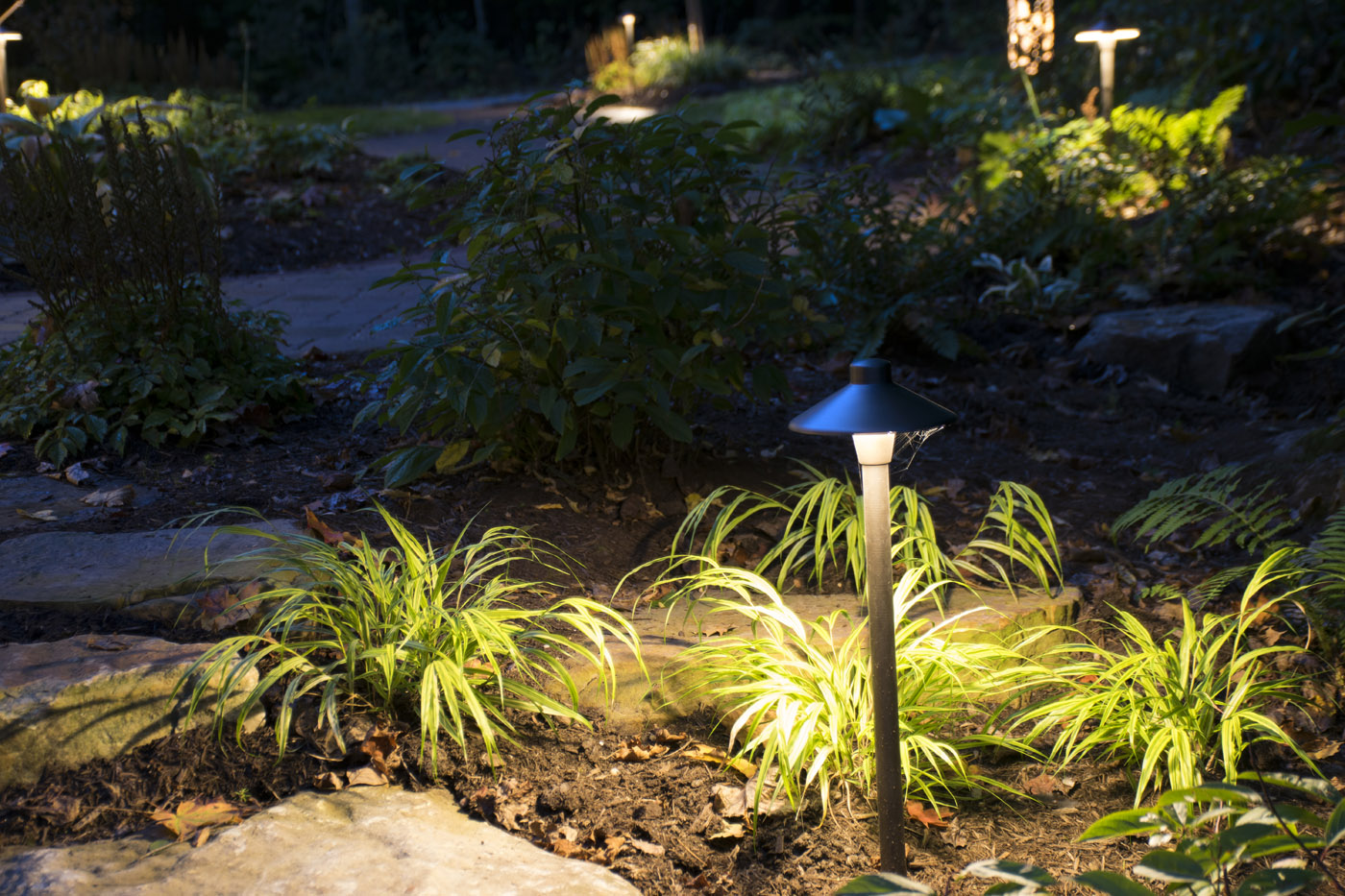 Path with specialty lighting