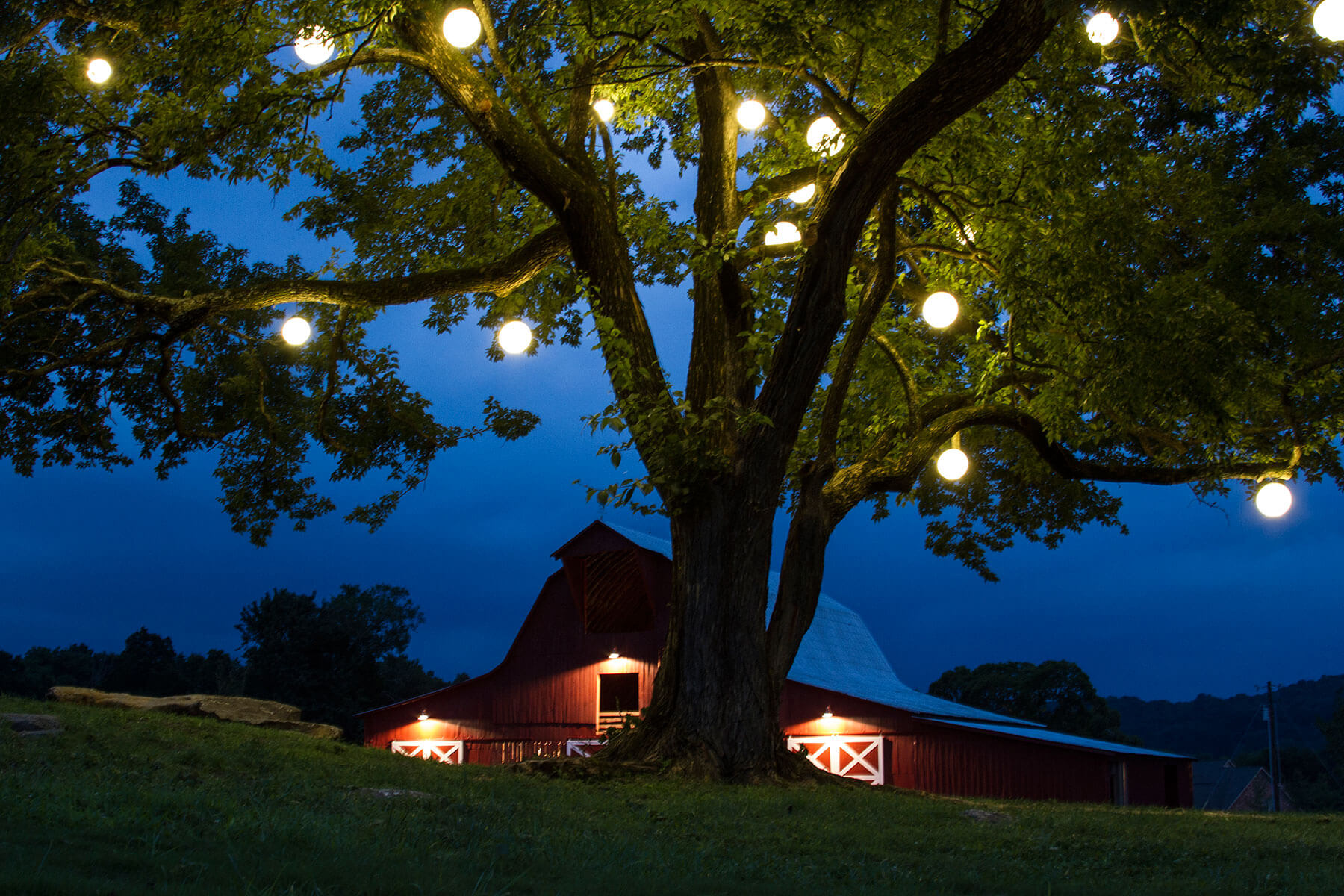 Lights hung on a tree near a barn