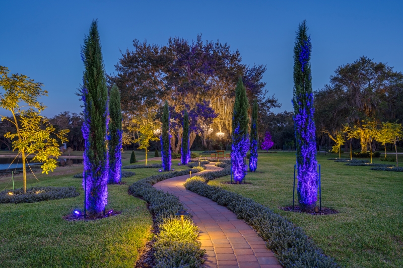 pathway with outdoor lighting