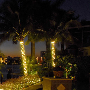 Outdoor Lighting Perspectives, How To String Lights On A Palm Tree