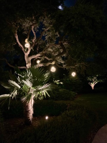 Customized outdoor lighting means awesome new ideas that catch on fast, like grapevine orb lighting for your trees!