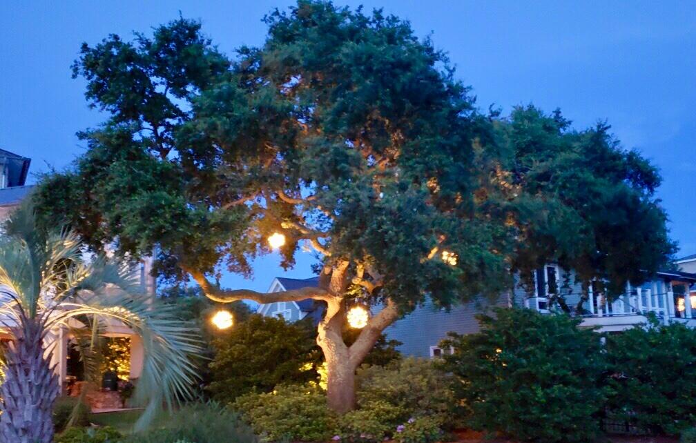 Wilmington Orb Lighting: Rustic Grapevine Outdoor Lighting Enhances Outdoor Nighttime Fun