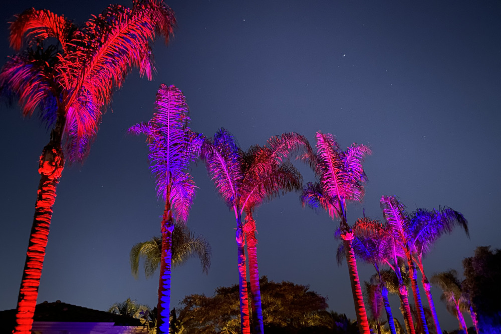 color changing palm tree lighting
