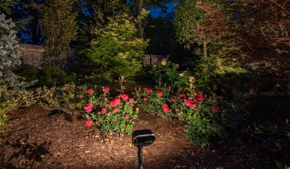 Kettering garden lighting