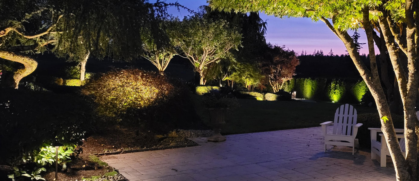 a backyard illuminated by outdoor lighting