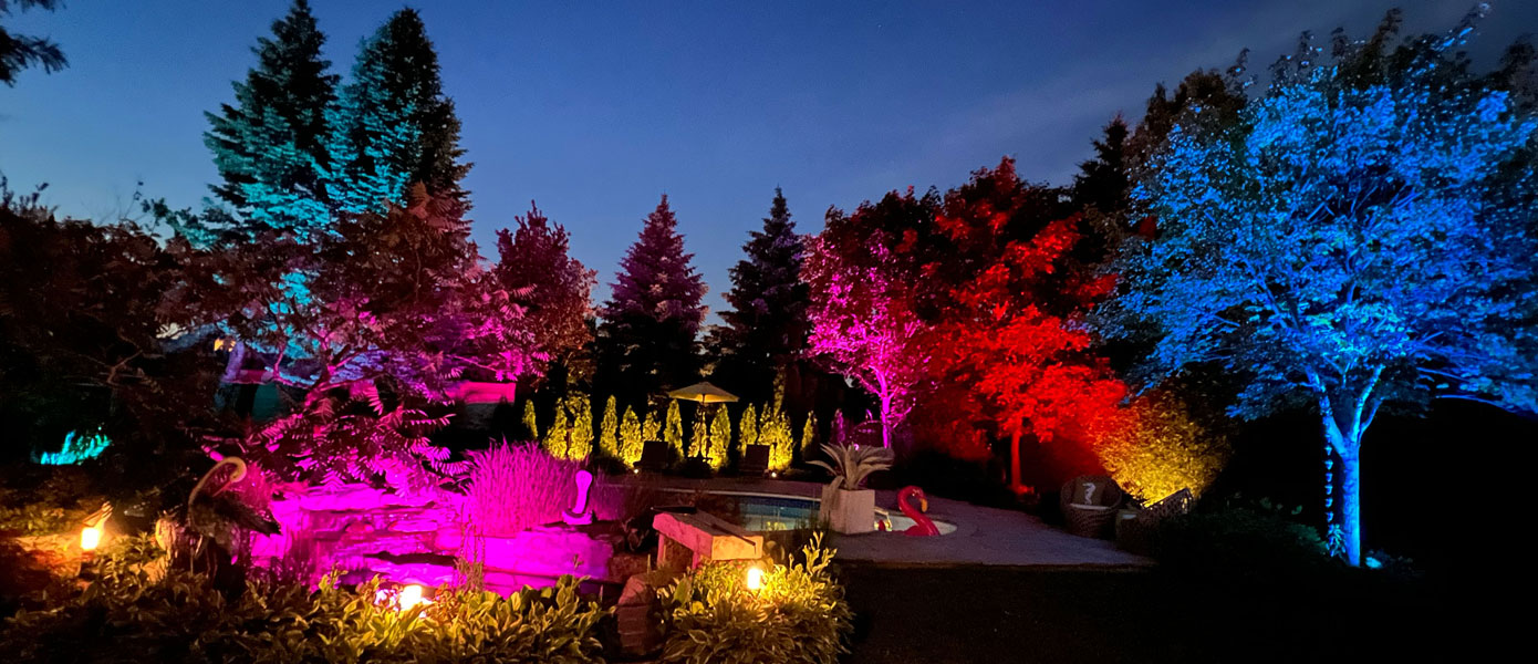 trees around a pool with colorful lights