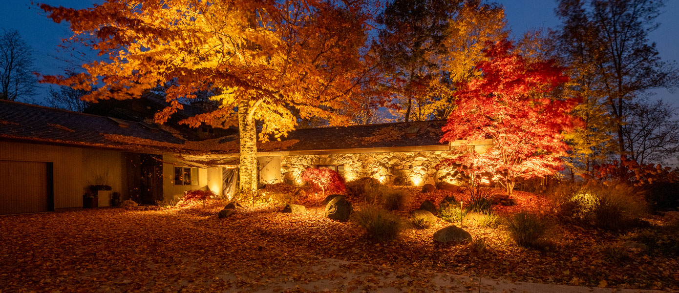Fall landscape lighting