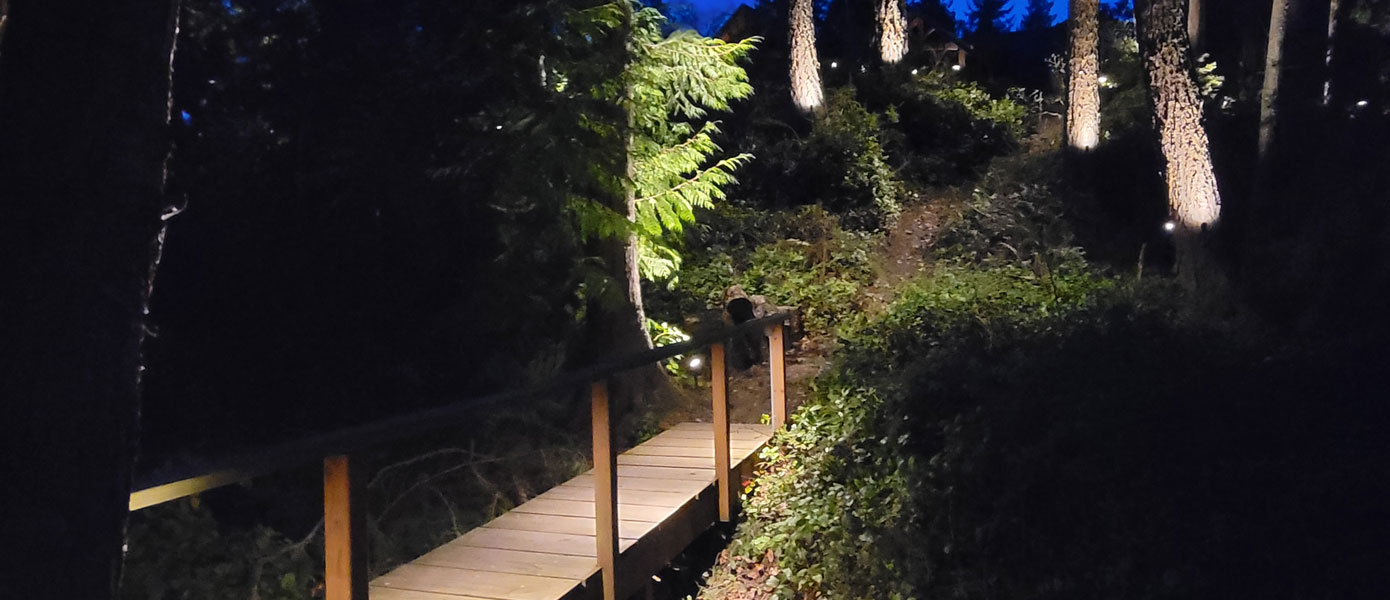 trees and bridge with outdoor landscape lighting
