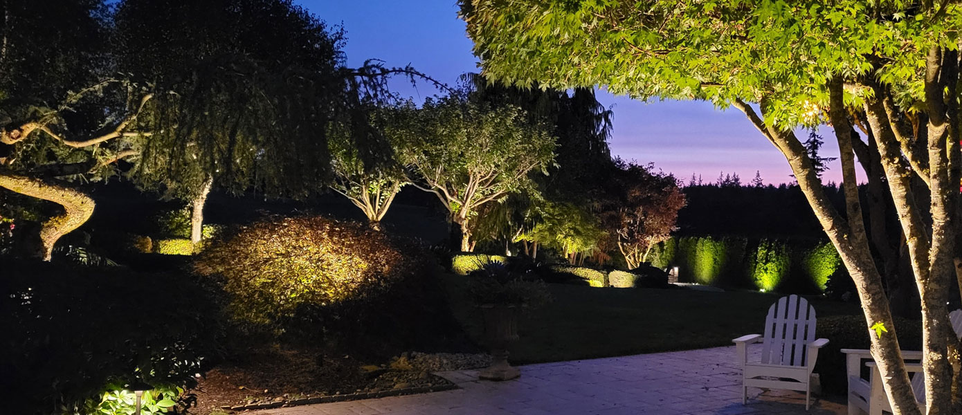 patio and trees with outdoor landscape lighting